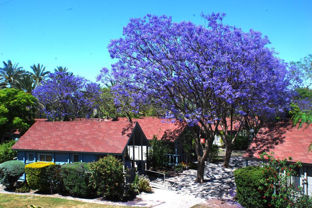 Nir David Country Lodge Exterior foto